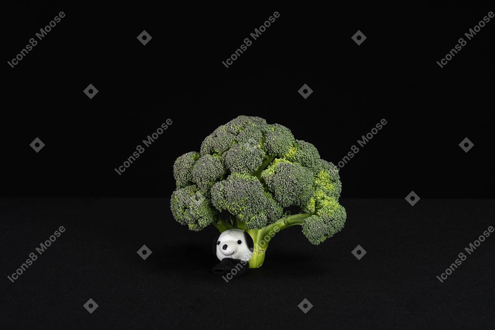 White animal toy under broccoli tree in black background