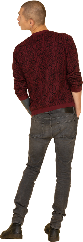 Вид сзади целующего молодого человека в красном пуловере