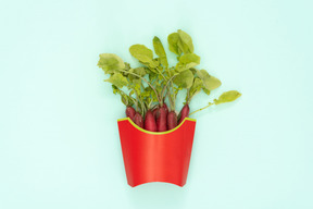 Fresh red raw radishes in a red pack