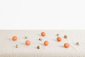 Chicken and quail eggs on a white tablecloth