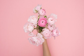 Bouquet de pivoines