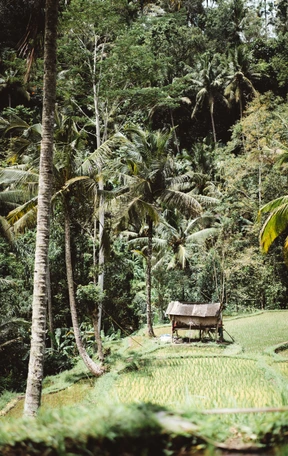 Naturaleza