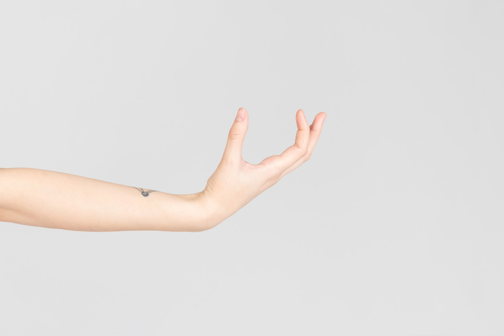 Side look of tattooed female arm looking like holding something