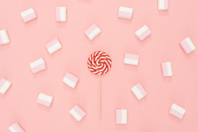 Nice lollipop and scattered marshmallows on pink background