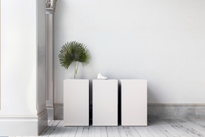 White room with palm leaf in a vase and a shoe on display