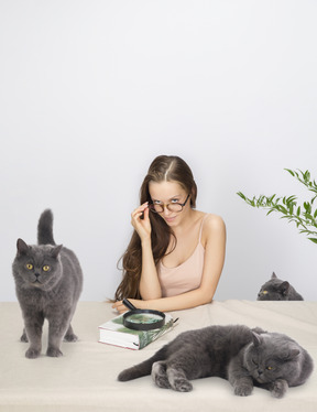 Señora atractiva del gato y sus gatos británicos de pelo corto