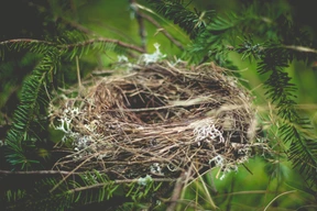 Naturaleza