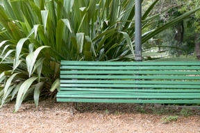 Banco verde junto a la gran planta verde.