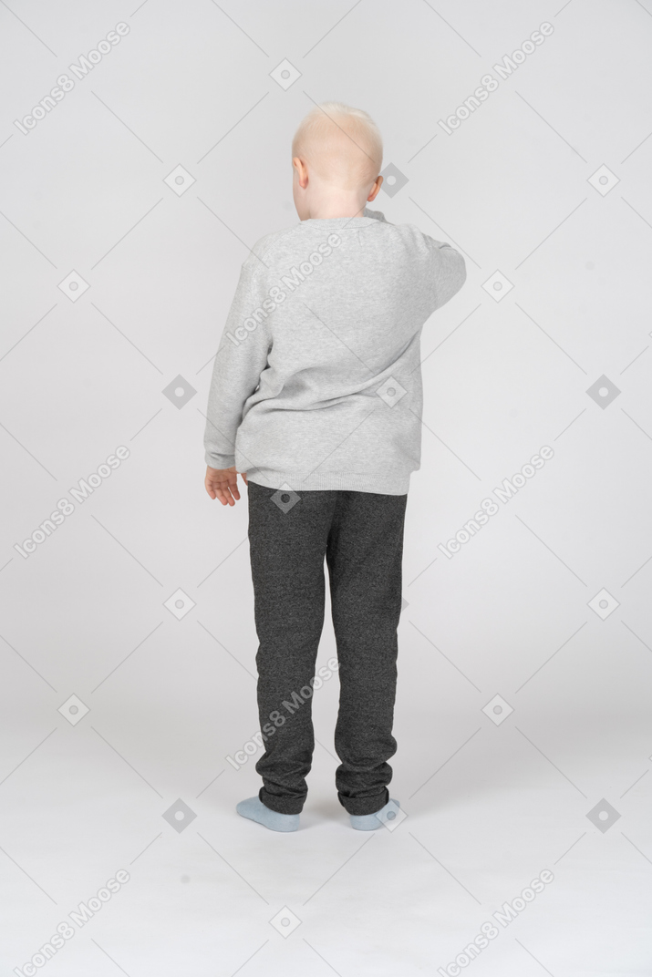 Back view of a standing little boy