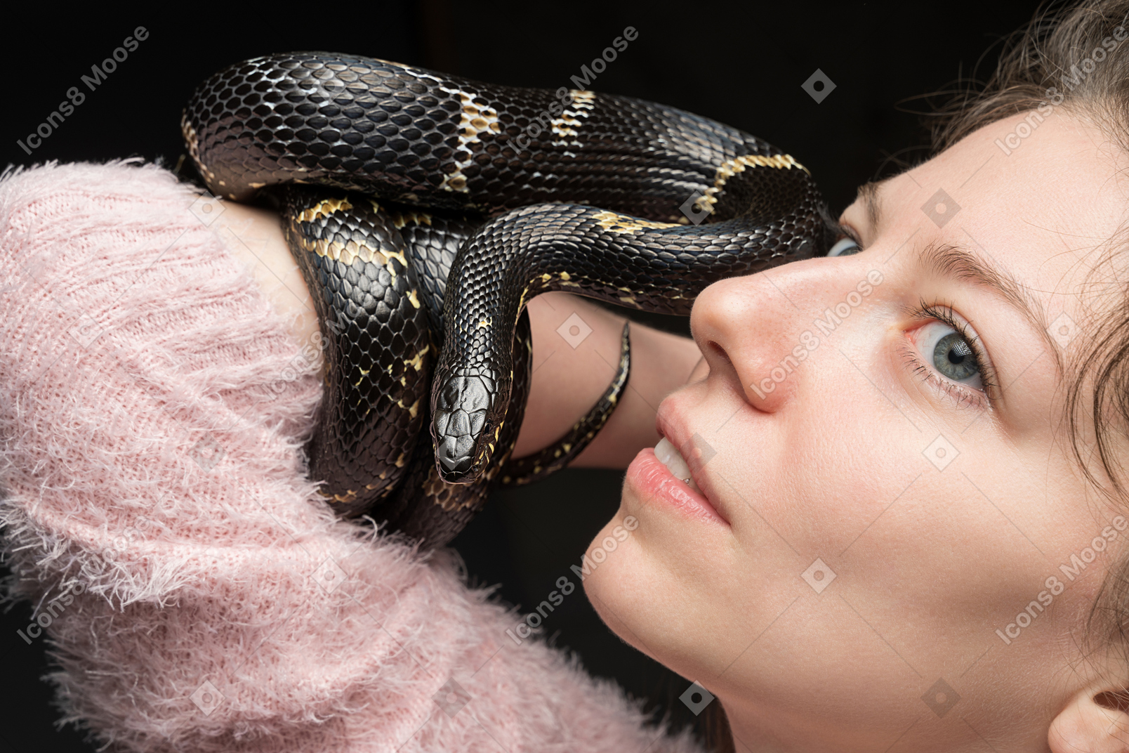 Serpente nero a strisce che curva intorno alla mano della donna