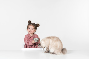 Little kid girl feeding the cat