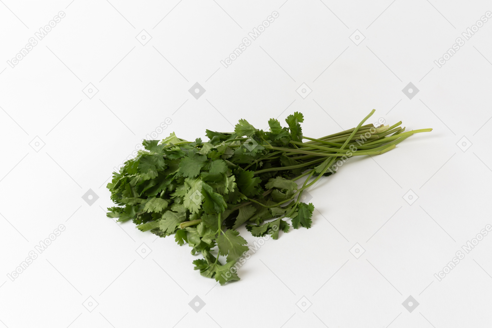 A parsley bunch on a white background