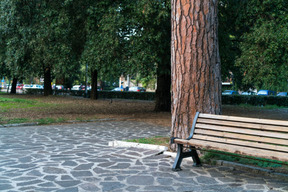 A bench in a park