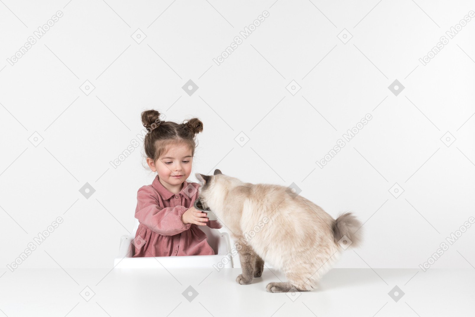 Baby kid girl sitting in baby feeding chair and petting a cat