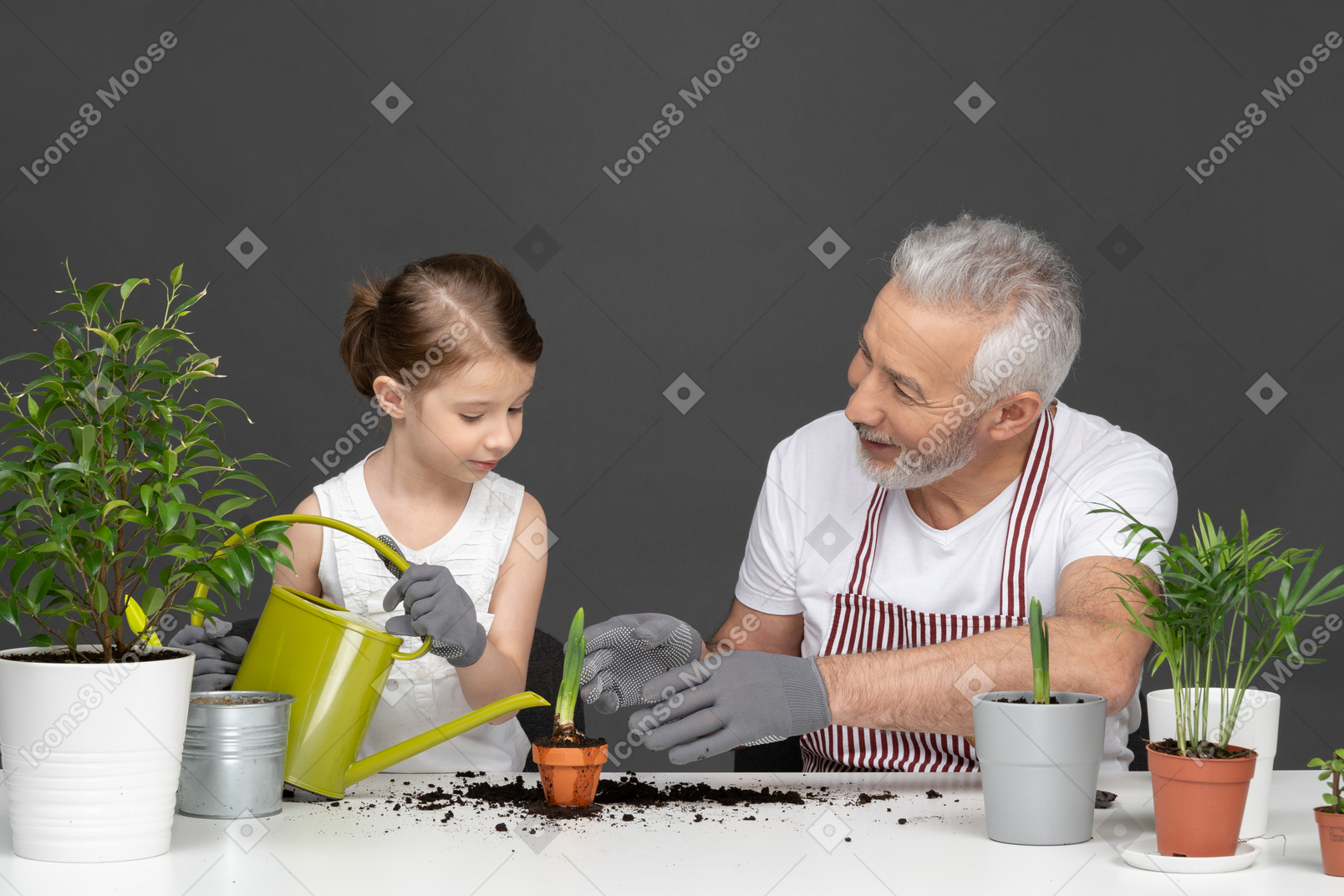 Una niña regando una planta