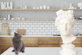 Gato shorthair britânico olhando para a estátua da cabeça