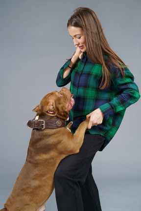 Close-up of a brown bulldog playing with  smiling female master looking aside and smiling