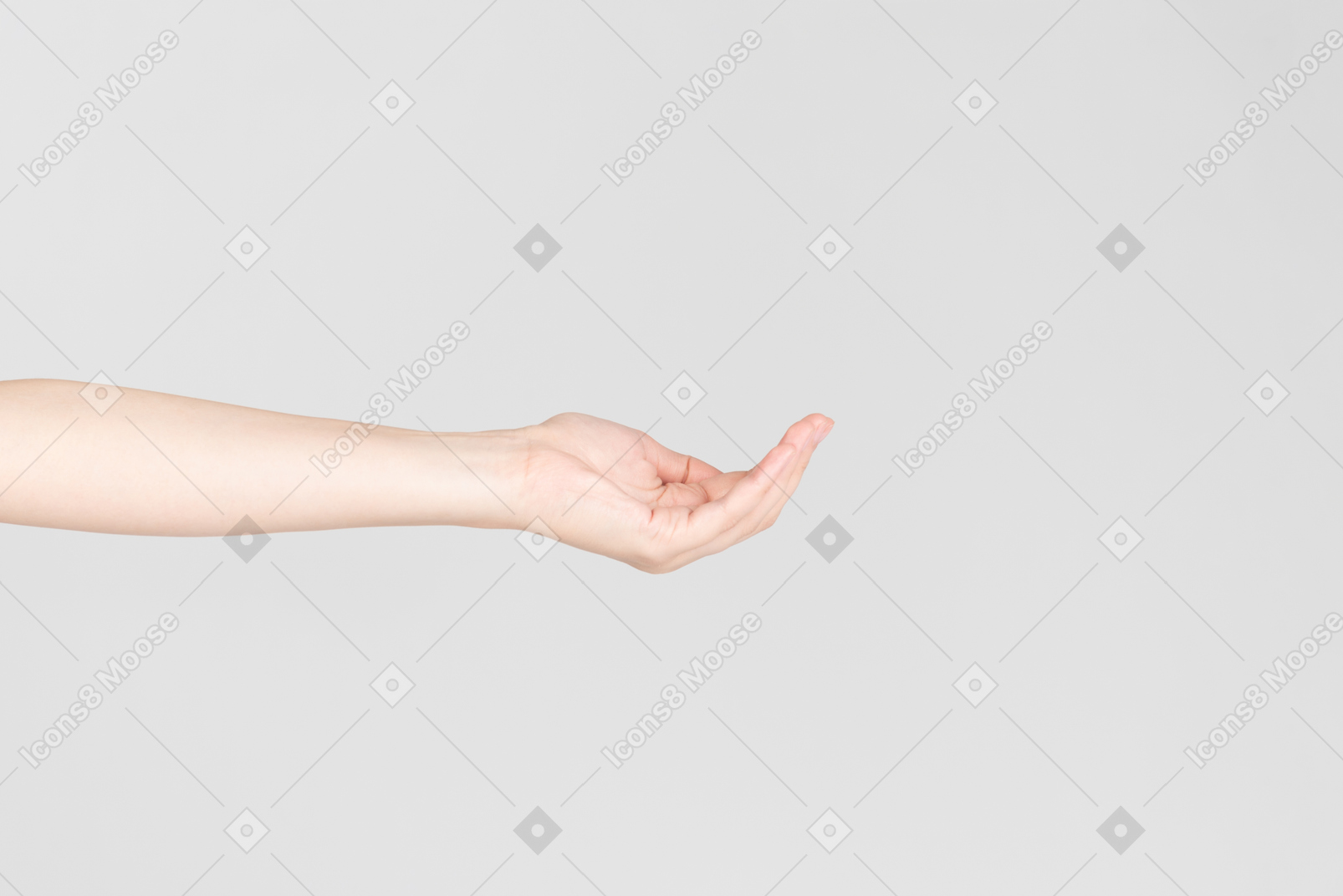 Side look of female hand kind like holding something up
