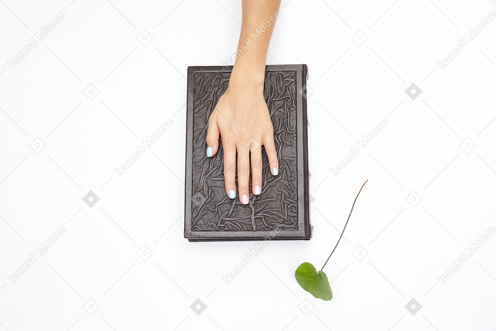 Black book and a green twig