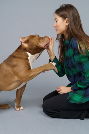 女性坐，和她的棕色斗牛犬一起玩的特写