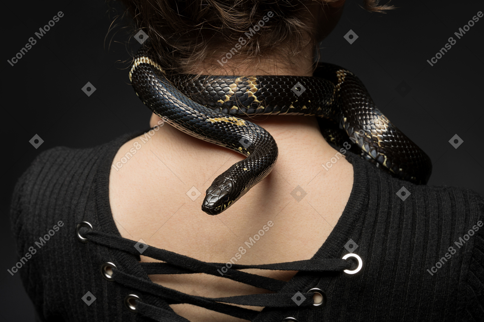 Striped black snake curving around woman's neck