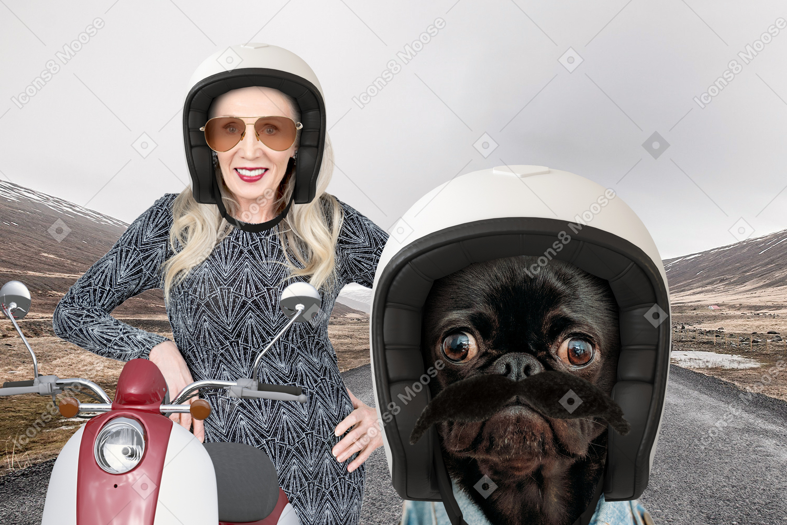 Cachorro preto no capacete e mulher com ciclomotor