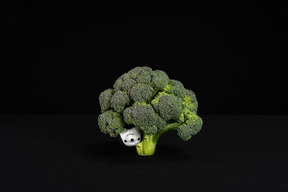 White toy dog peeping out of broccoli tree in black background