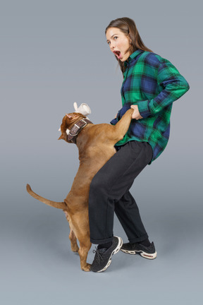 Full-length of a brown bulldog playing with surprised female master looking aside