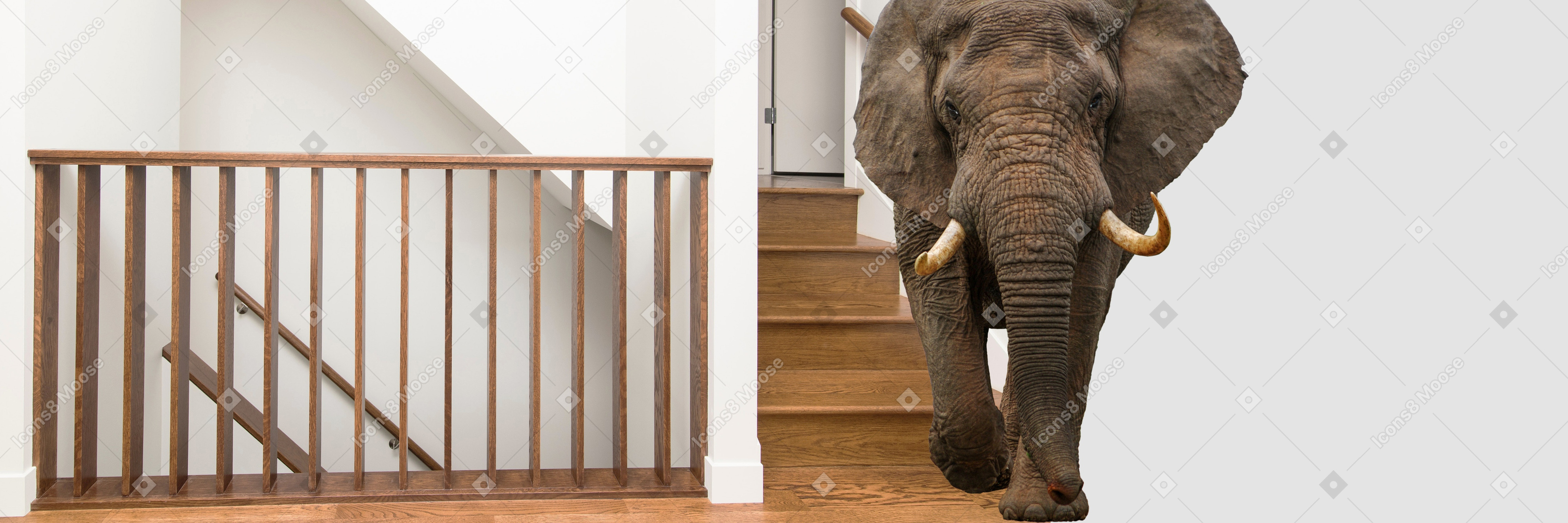 An elephant walking up a flight of stairs