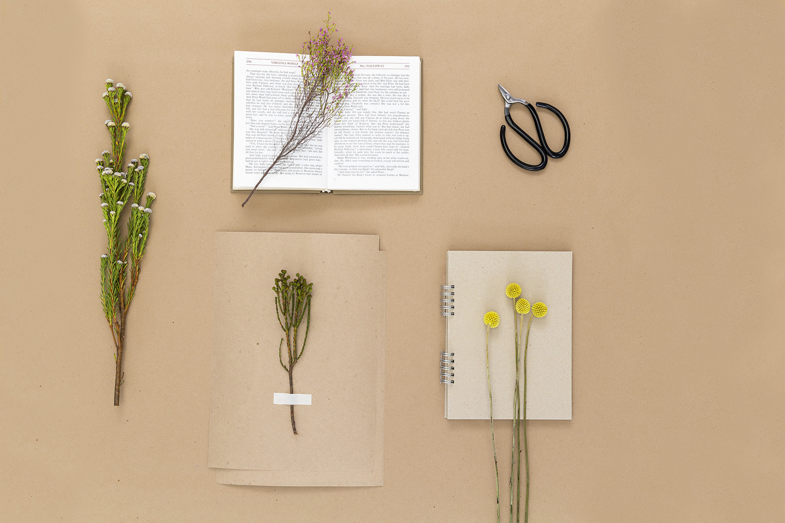 Make your own herbarium
