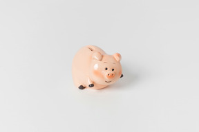 Pig piggy bank