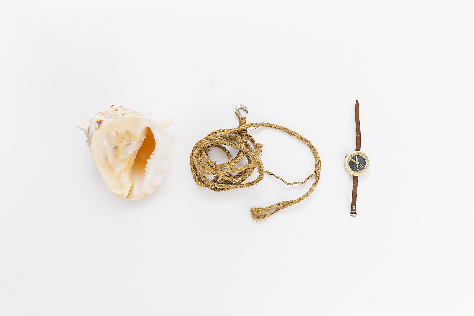 Rope with hook, starshell and starfish