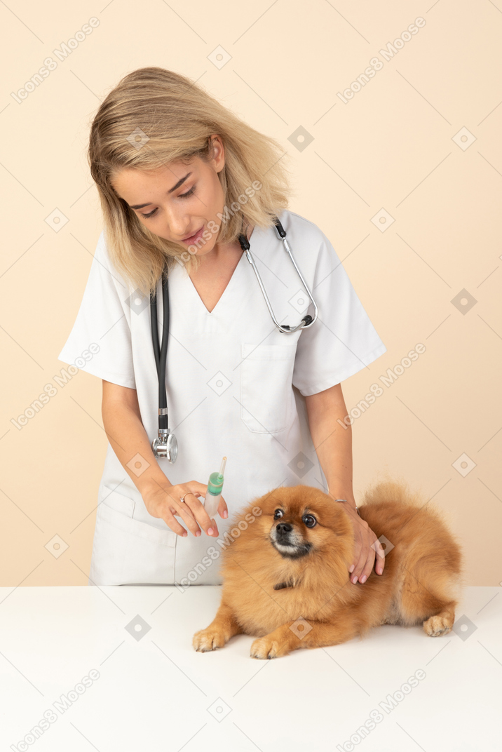 Attraente veterinario pronto a fare un'iniezione a uno spitz rosso