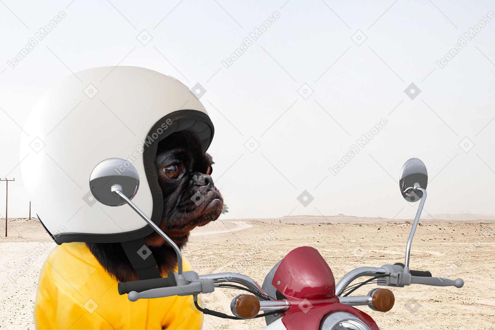 A woman with a motorcycle helmet and a helmet