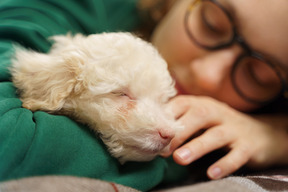 Young female wearing glasses and cuddling with her little poodle and looking at camera