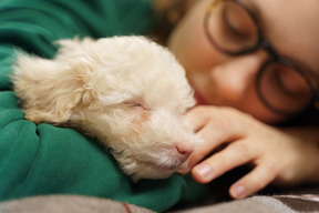 Jovem de óculos, aninhada em seu pequeno poodle e olhando para a câmera