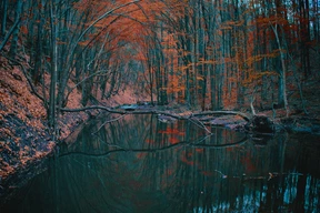 Naturaleza