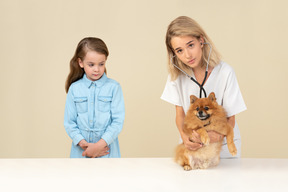 Kid girl looking at attractive vet doctor examining her pet spitz