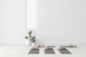 Empty yoga studio with exercise equipment and houseplants