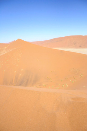 Dunes et ciel bleu