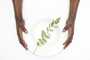 Manos masculinas negras que sostienen un plato blanco con ramita verde en ella