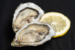 Two oysters with lemon slice on black background