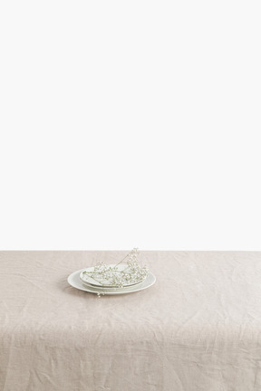Plato con ramita seca sobre la mesa