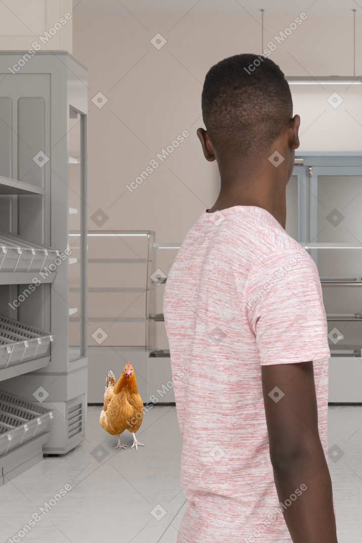 Un hombre mirando un pollo caminando detrás de él