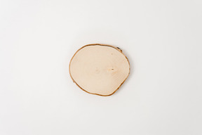 Tree trunk cross section on white background
