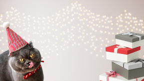 A cat wearing a party hat next to a stack of presents