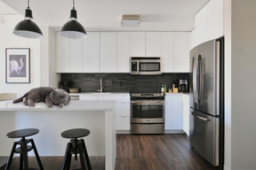 A cat that is lying down on a kitchen counter