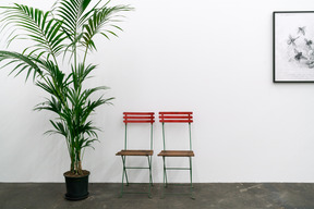 Two chairs, plant in the pot and framed picture on the wall