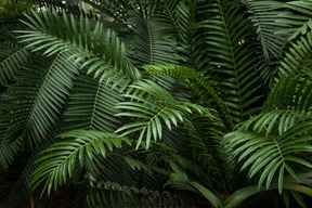 Wintergarten ist ein ort zum genießen