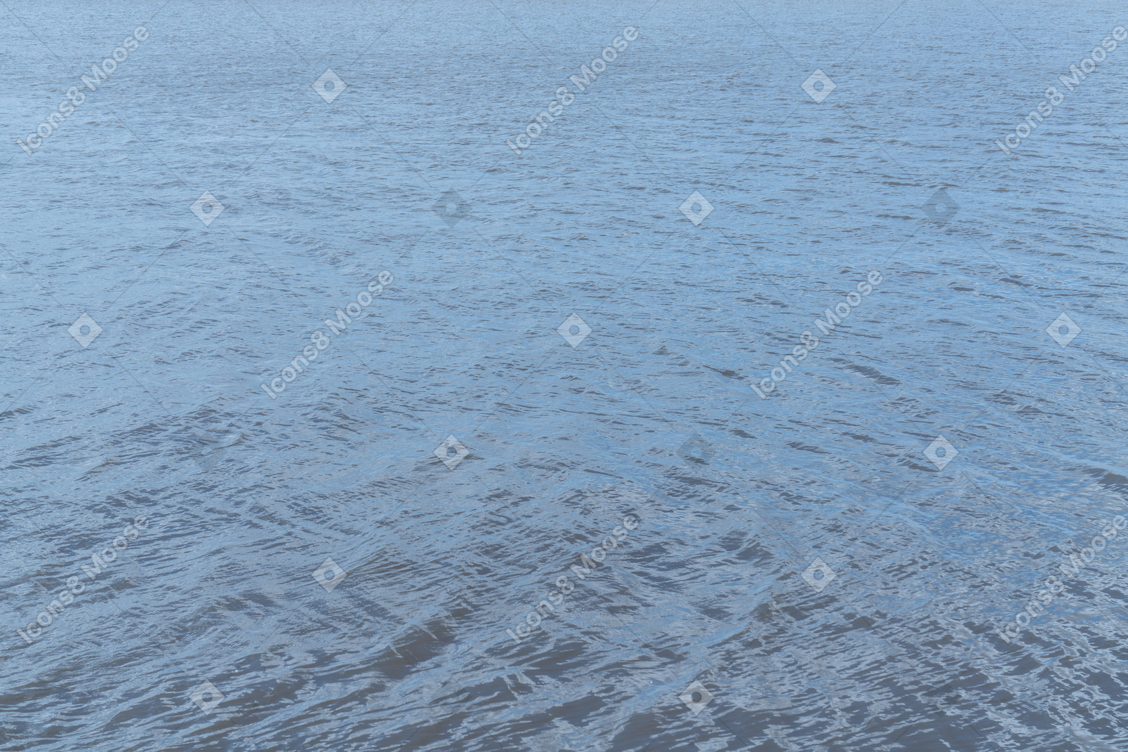Ripples on the surface of water